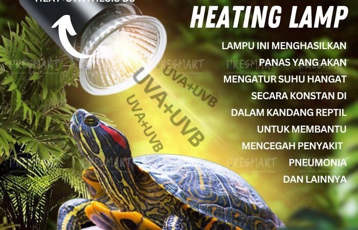 Fitting Lampu Jepit dan Lampu Reptil UVA/UVB: Solusi Tepat untuk Kesehatan Reptil Anda