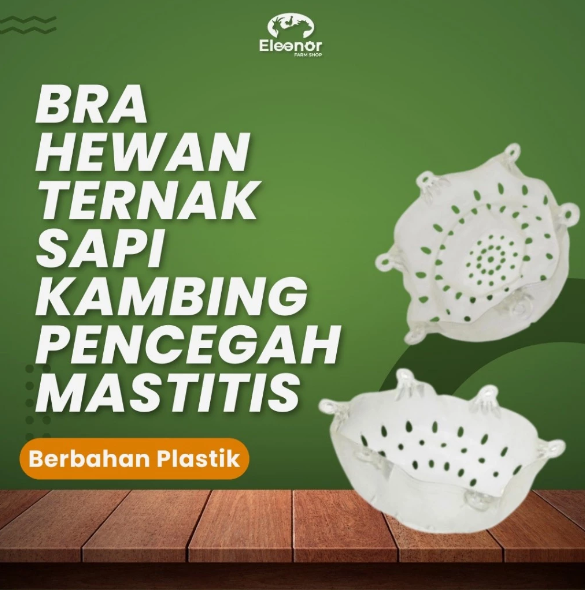 Bra Hewan Bra Sapi dan Kambing di Sapih, Pencegahan dan Pengobatan Mastitis