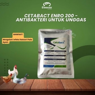 CETABACT ENRO 200 100gr - Antibakteri Untuk Unggas Ayam Bebek