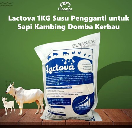 Lactova 1KG Susu Pengganti Hewan Ternak