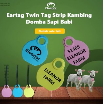 Necktag Custom Kalung Kambing Domba Sapi Babi 10 PCS