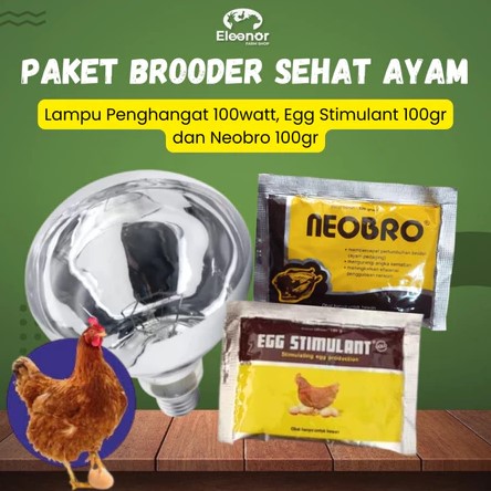 Paket Brooder Unggas Lampu Penghangat 100Watt Egg Stimulant 100gram dan Neobro 100gr Kebutuhan Ayam Broiler Petelur