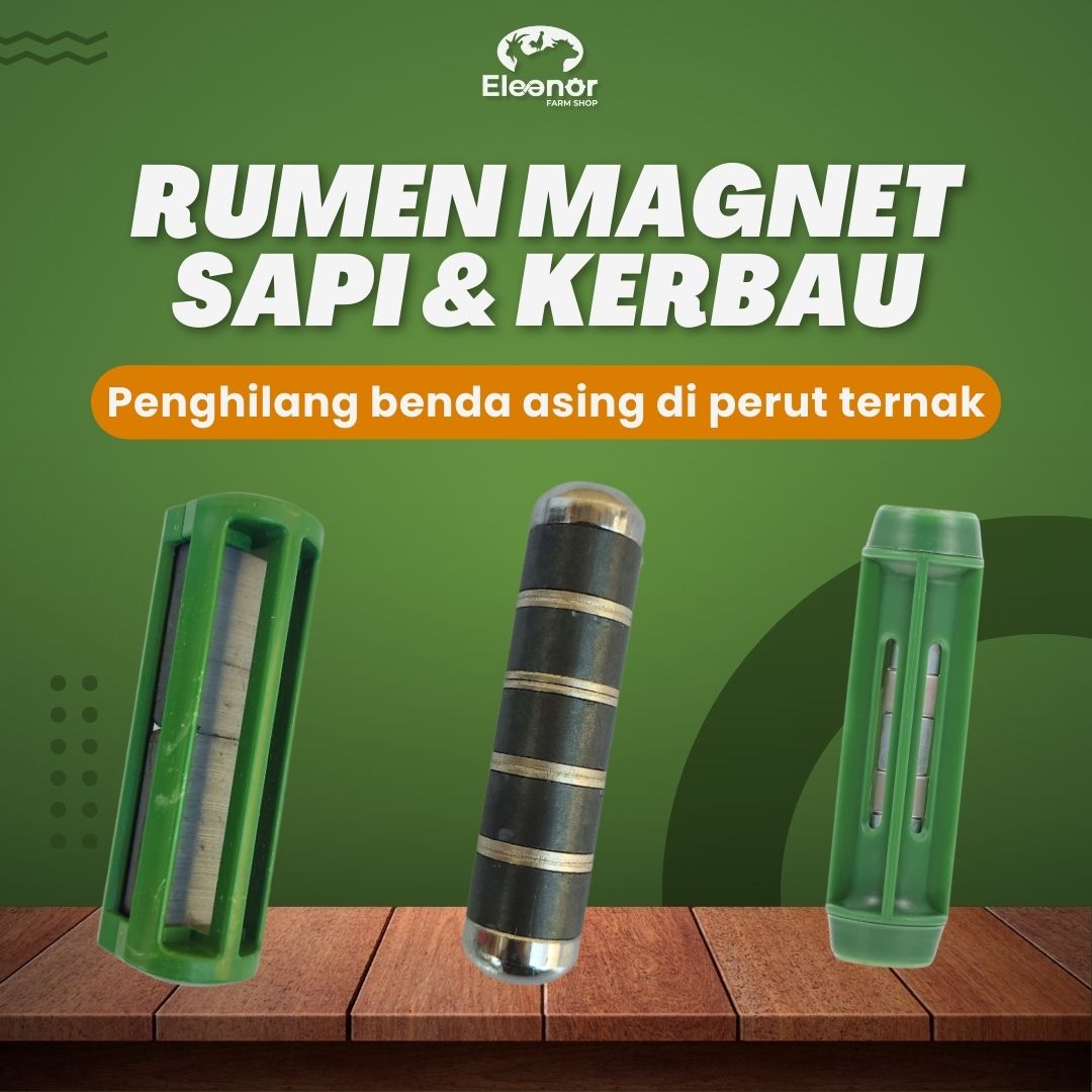 Rumen Magnet Alat Penghilang Benda Asing Perut Ruminansia Sapi Kerbau
