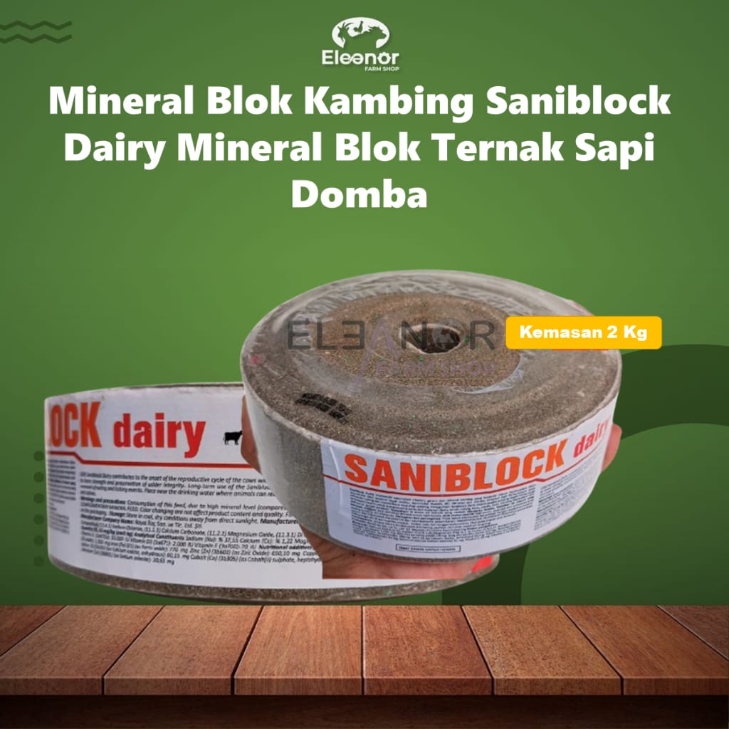Saniblock Dairy 2 Kg Mineral Blok Ternak Sapi Domba Sapi Perah Royal Blok