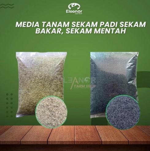 Sekam Bakar dan Sekam Mentah Media Tanam Organik Siap Pakai 500Gr