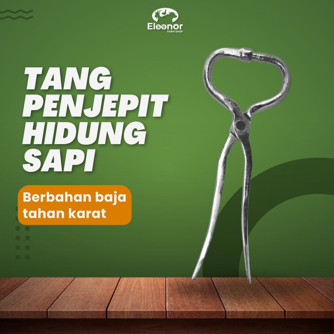 Tang Hidung Sapi Klip Hidung Sapi Alat Tindik Tang Pelubang Sapi Anti Karat – Cattle Nose Plier
