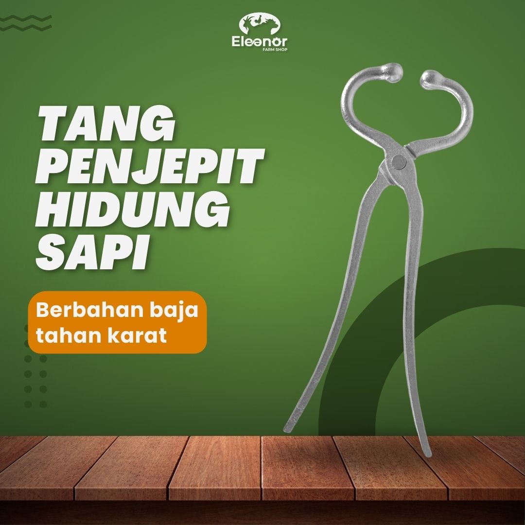 Tang Penjepit Hidung Sapi Kerbau Stanless Steel Cattle nose Plier