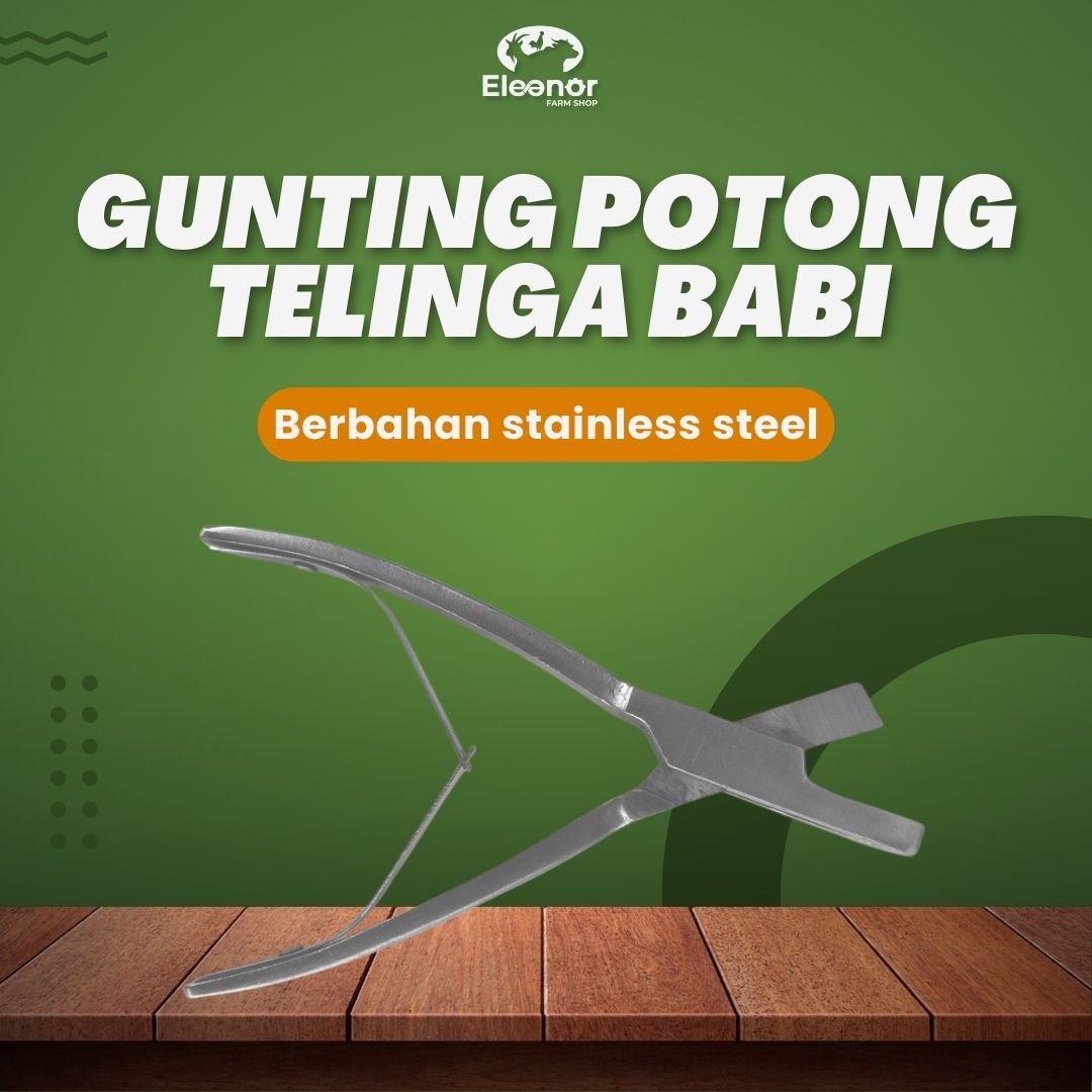 Tang Potong Telinga Babi Ear Notcher Bentuk U Dan V